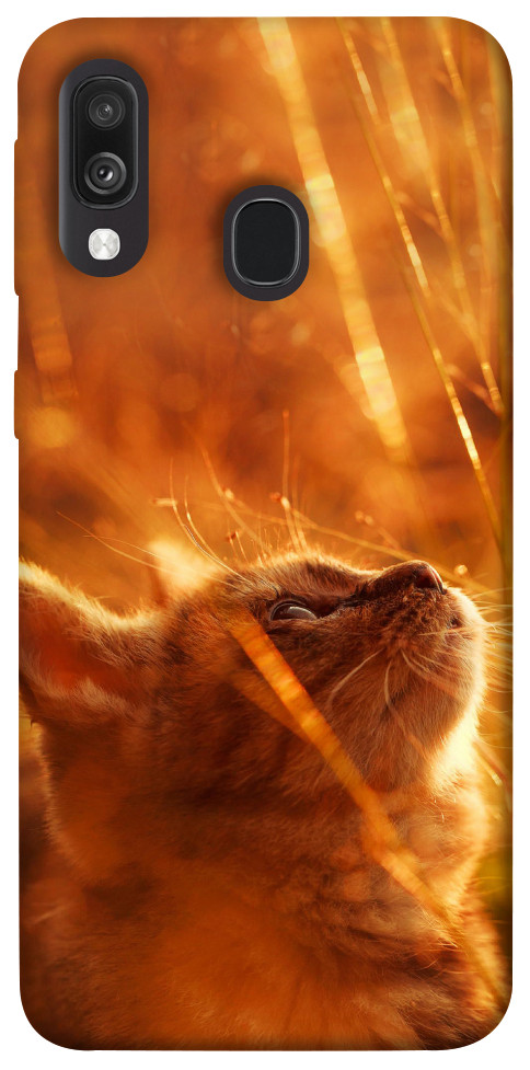 Чехол Magic cat для Galaxy A40 (2019)
