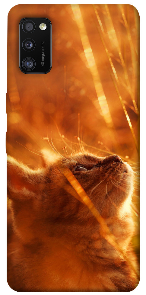 Чехол Magic cat для Galaxy A41 (2020)