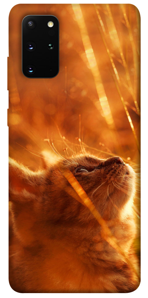 Чехол Magic cat для Galaxy S20 Plus (2020)