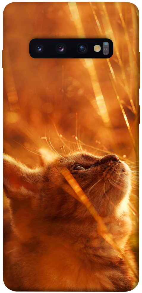 Чехол Magic cat для Galaxy S10 Plus (2019)