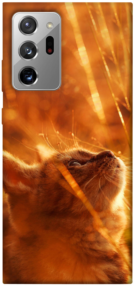 Чехол Magic cat для Galaxy Note 20 Ultra