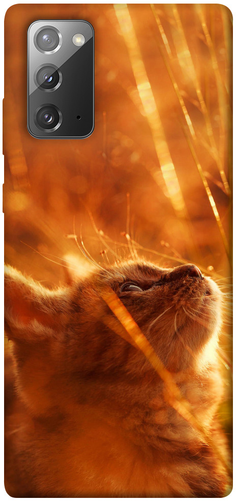 Чехол Magic cat для Galaxy Note 20
