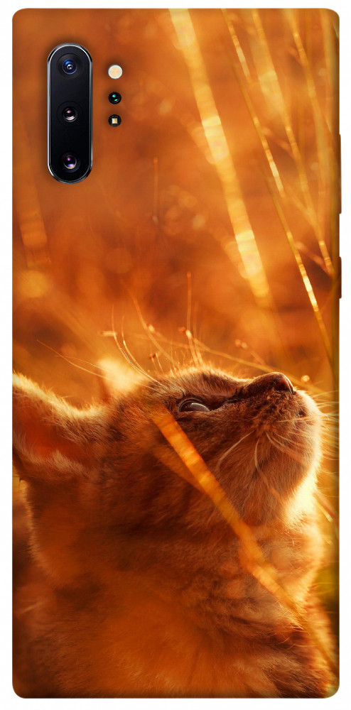 Чехол Magic cat для Galaxy Note 10+ (2019)
