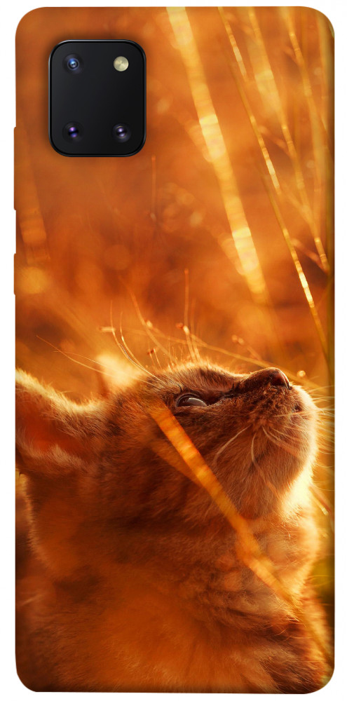 Чехол Magic cat для Galaxy Note 10 Lite (2020)