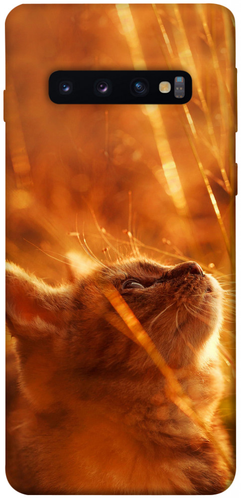 Чехол Magic cat для Galaxy S10 (2019)