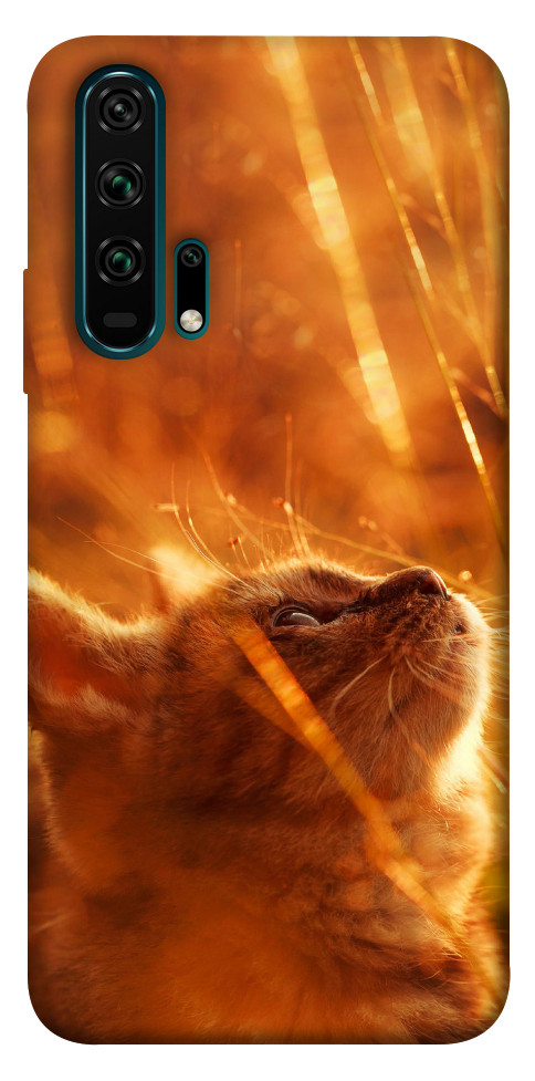 Чехол Magic cat для Huawei Honor 20 Pro