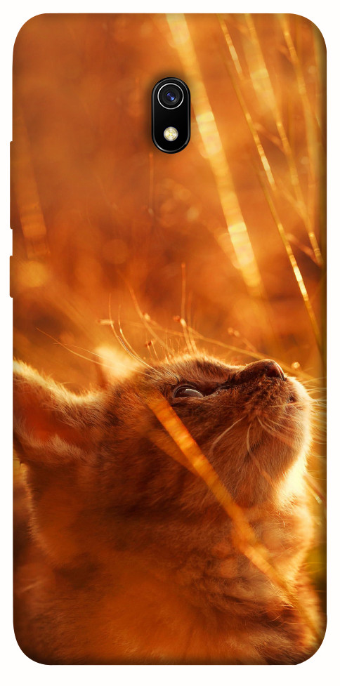 Чехол Magic cat для Xiaomi Redmi 8a