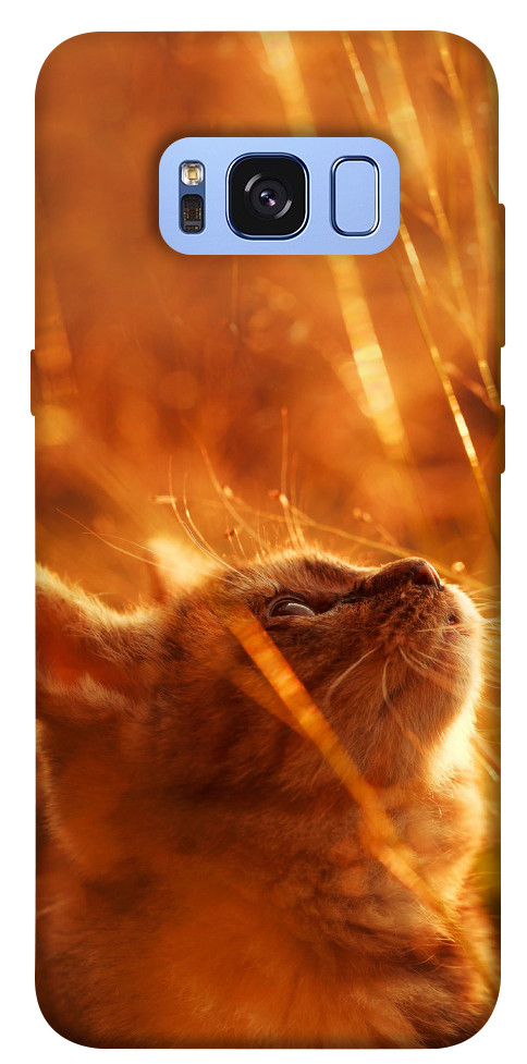 Чехол Magic cat для Galaxy S8 (G950)