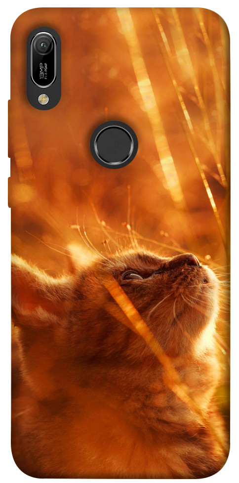 Чехол Magic cat для Huawei Y6 (2019)