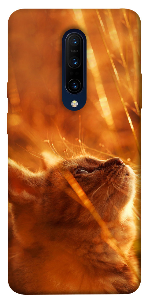 Чехол Magic cat для OnePlus 7 Pro