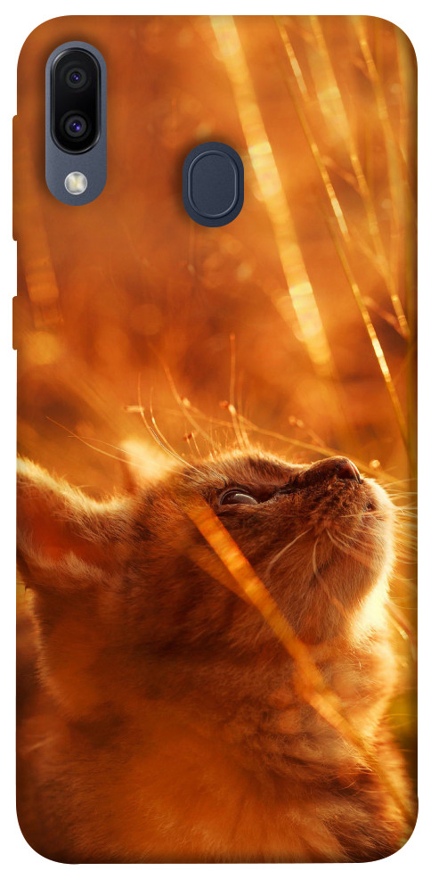 Чехол Magic cat для Galaxy M20