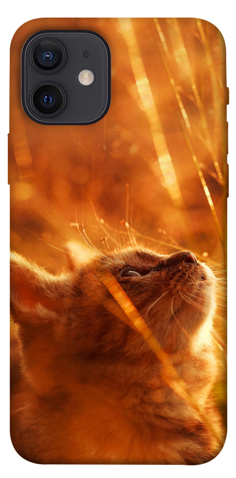 Чехол Magic cat для iPhone 12