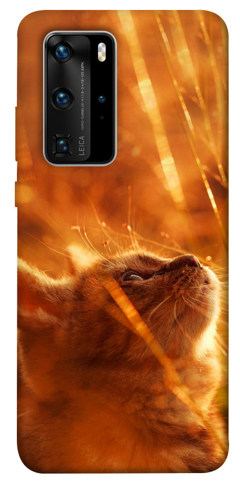 Чехол Magic cat для Huawei P40 Pro