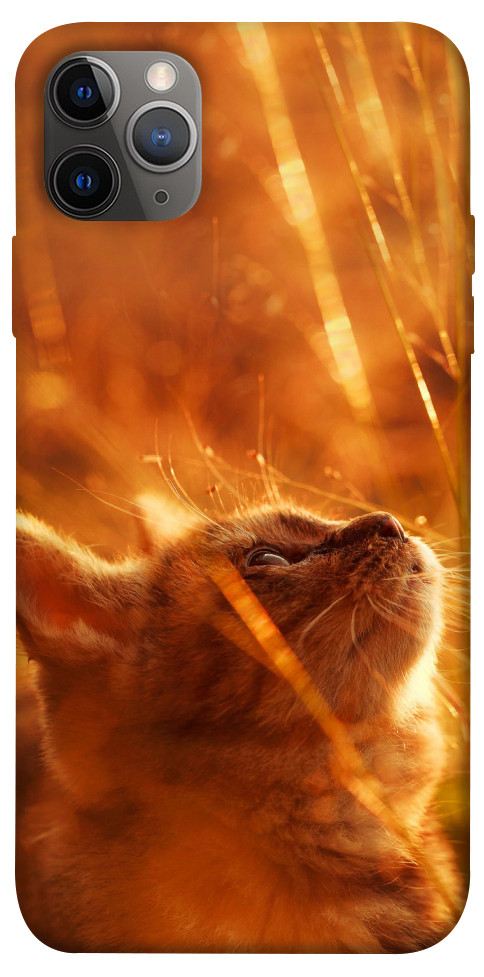 Чехол Magic cat для iPhone 12 Pro