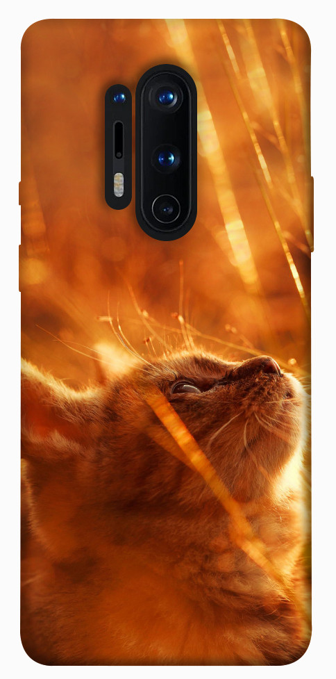 Чехол Magic cat для OnePlus 8 Pro