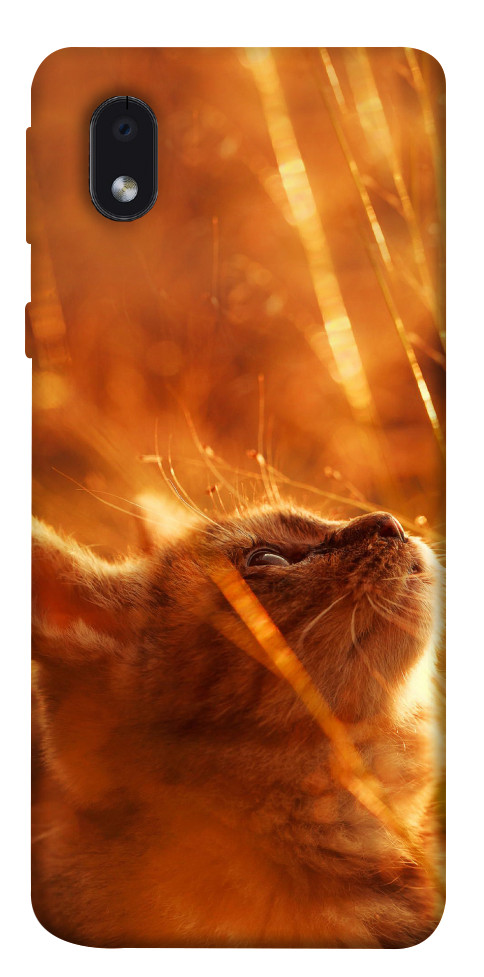 Чехол Magic cat для Galaxy M01 Core