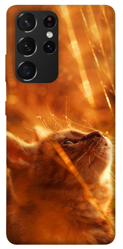 Чехол Magic cat для Galaxy S21 Ultra
