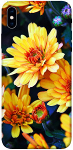 Чехол Yellow petals для iPhone XS Max