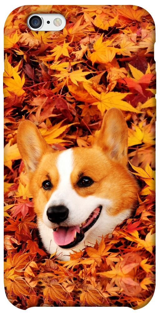 Чехол Корги в листьях для iPhone 6