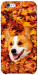 Чехол Корги в листьях для iPhone 6