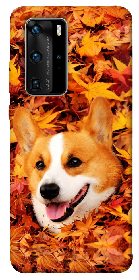 Чехол Корги в листьях для Huawei P40 Pro