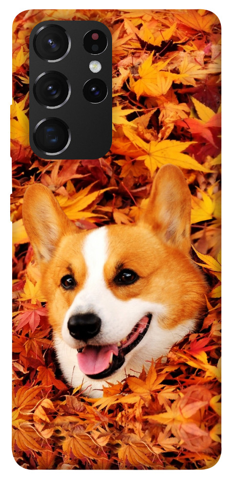 Чехол Корги в листьях для Galaxy S21 Ultra