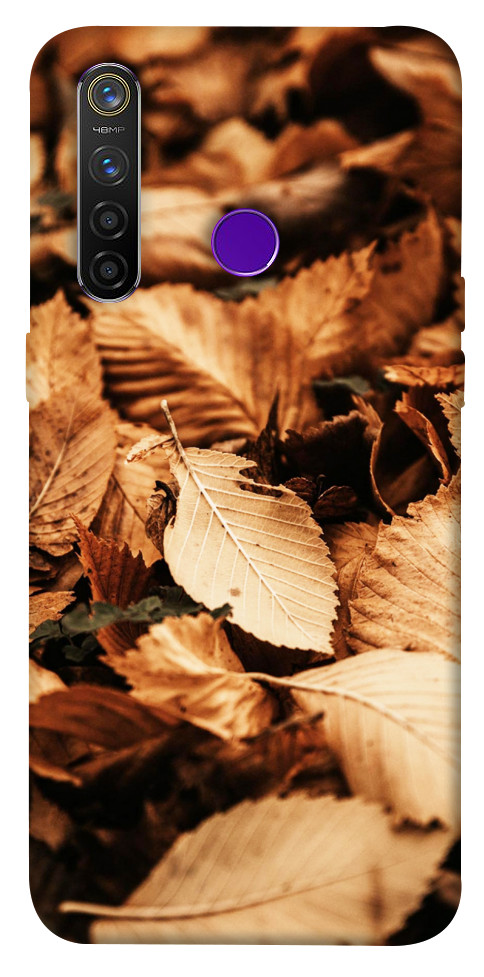 Чехол Опавшая листва для Realme 5 Pro