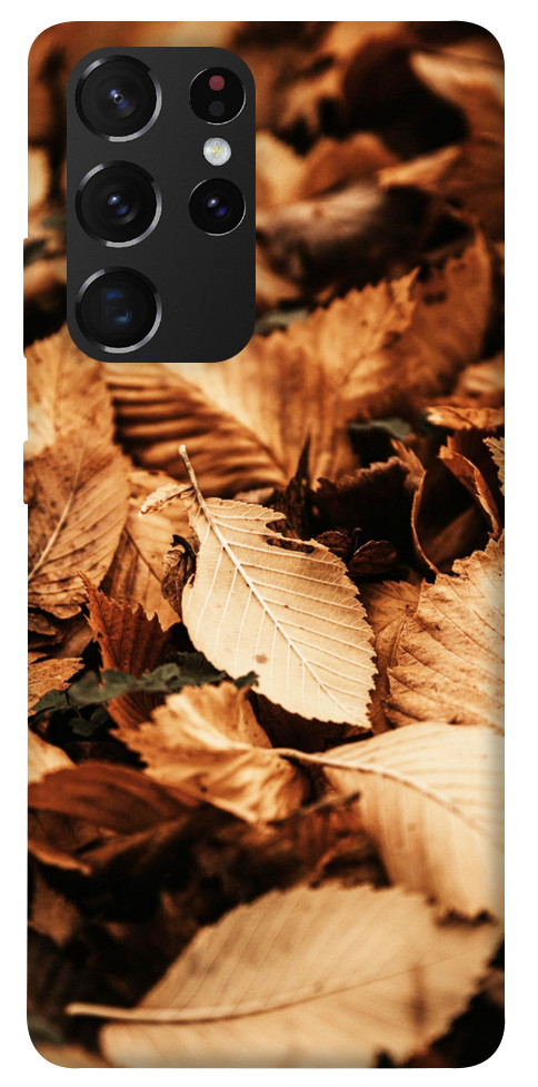 Чехол Опавшая листва для Galaxy S21 Ultra