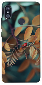 Чехол Божья коровка для Xiaomi Redmi Note 5 Pro