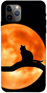 Чехол Кот на фоне луны для iPhone 11 Pro