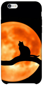 Чехол Кот на фоне луны для iPhone 6 (4.7'')