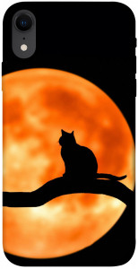Чехол Кот на фоне луны для iPhone XR