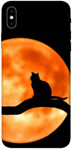 Чохол Кіт на тлі місяця для iPhone XS Max