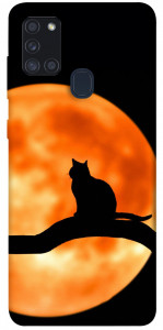 Чохол Кіт на тлі місяця для Galaxy A21s (2020)