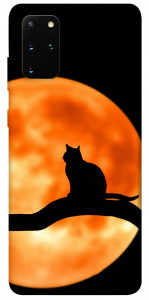 Чохол Кіт на тлі місяця для Galaxy S20 Plus (2020)