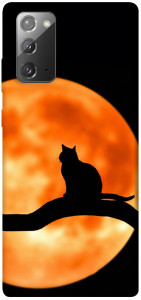 Чехол Кот на фоне луны для Galaxy Note 20