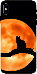 Чехол Кот на фоне луны для iPhone X (5.8")