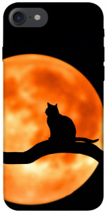 Чехол Кот на фоне луны для  iPhone 8 (4.7")