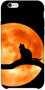 Чехол Кот на фоне луны для iPhone 6 plus (5.5'')