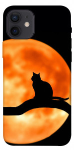 Чехол Кот на фоне луны для iPhone 12