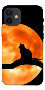 Чохол Кіт на тлі місяця для iPhone 12 mini