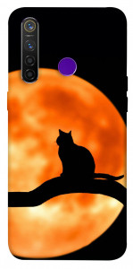 Чехол Кот на фоне луны для Realme 5 Pro