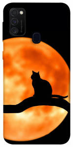 Чехол Кот на фоне луны для Samsung Galaxy M30s