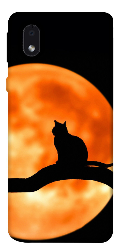 Чехол Кот на фоне луны для Galaxy M01 Core