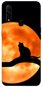 Чехол Кот на фоне луны для Oppo A31