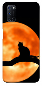 Чехол Кот на фоне луны для Oppo A52