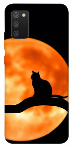 Чохол Кіт на тлі місяця для Galaxy A02s