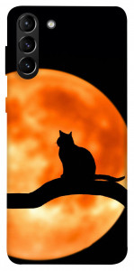 Чохол Кіт на тлі місяця для Galaxy S21+