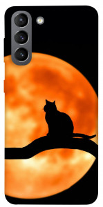 Чохол Кіт на тлі місяця для Galaxy S21