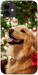 Чохол New year dog для iPhone 11